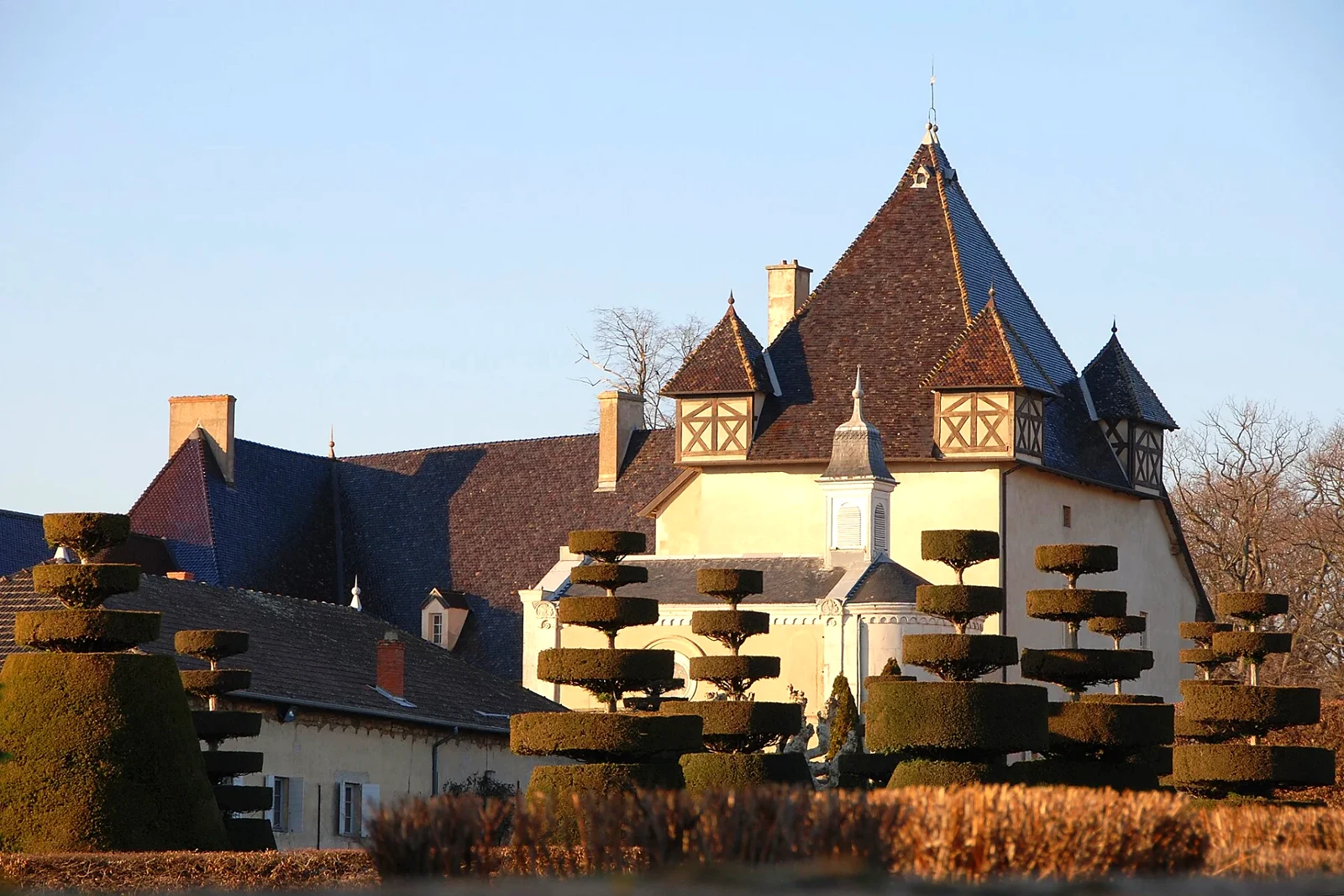 Château de Pizay — historical exterior photograph